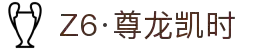 Z6·尊龙凯时「中国」官方网站